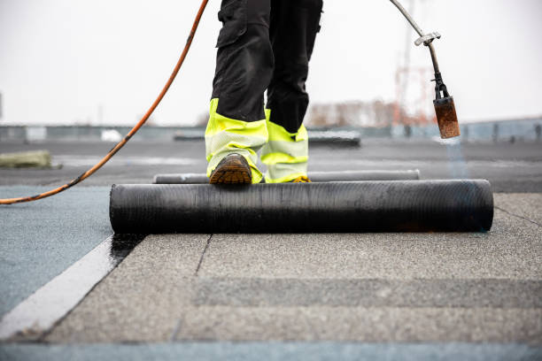 Best Roof Moss and Algae Removal  in La Cresta, CA